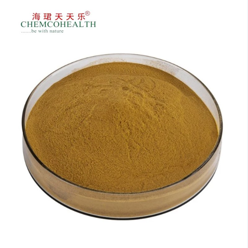 Notoginsenosides 1%-40%HPLC Notoginseng Root Extract