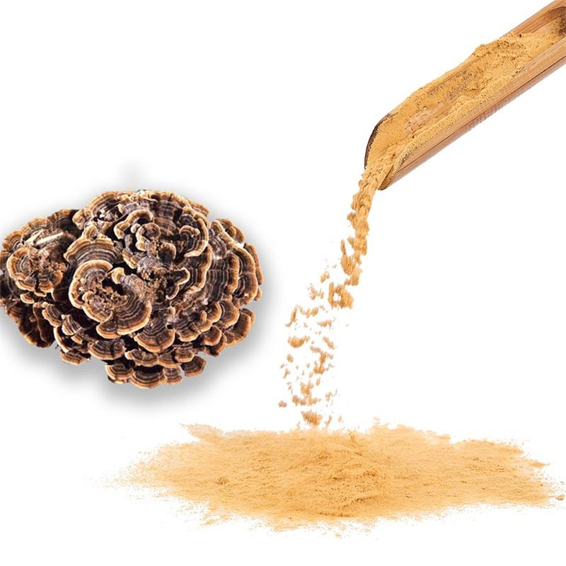 Extracts Plants 100% Water-Soluble Turkey Tail Mushroom Extract Powder
