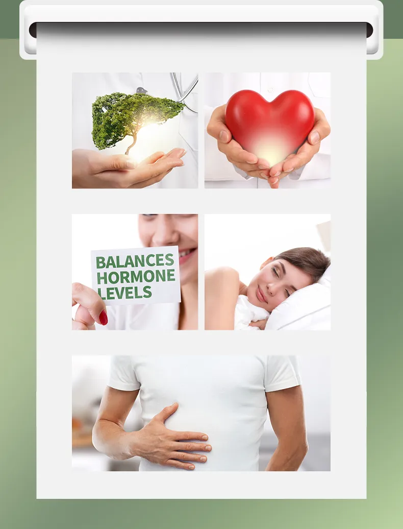 Reishi Mushroom Extract 3