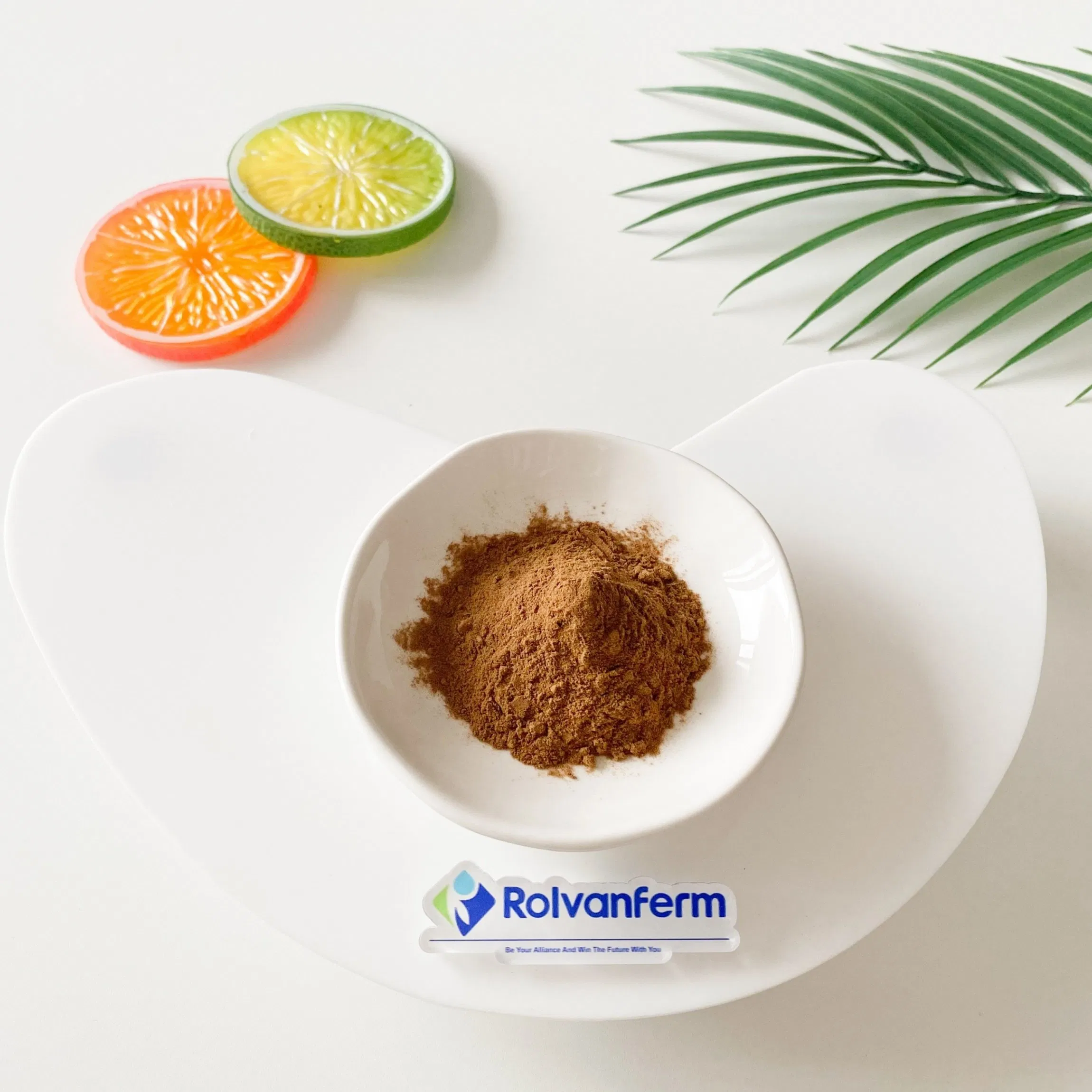 Nothopanax Davidii Extract Botanical Liangwang Tea Plant Extract for Functional Foods and Herbal Applications