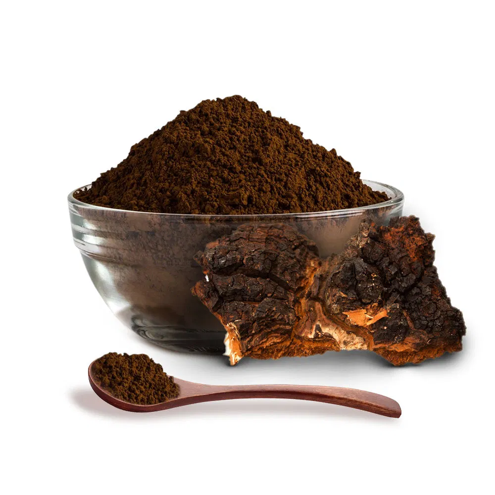 Chaga Mushroom Extract Powder Medicinal Mushroom Extract Pure Healthy Herbal Plant