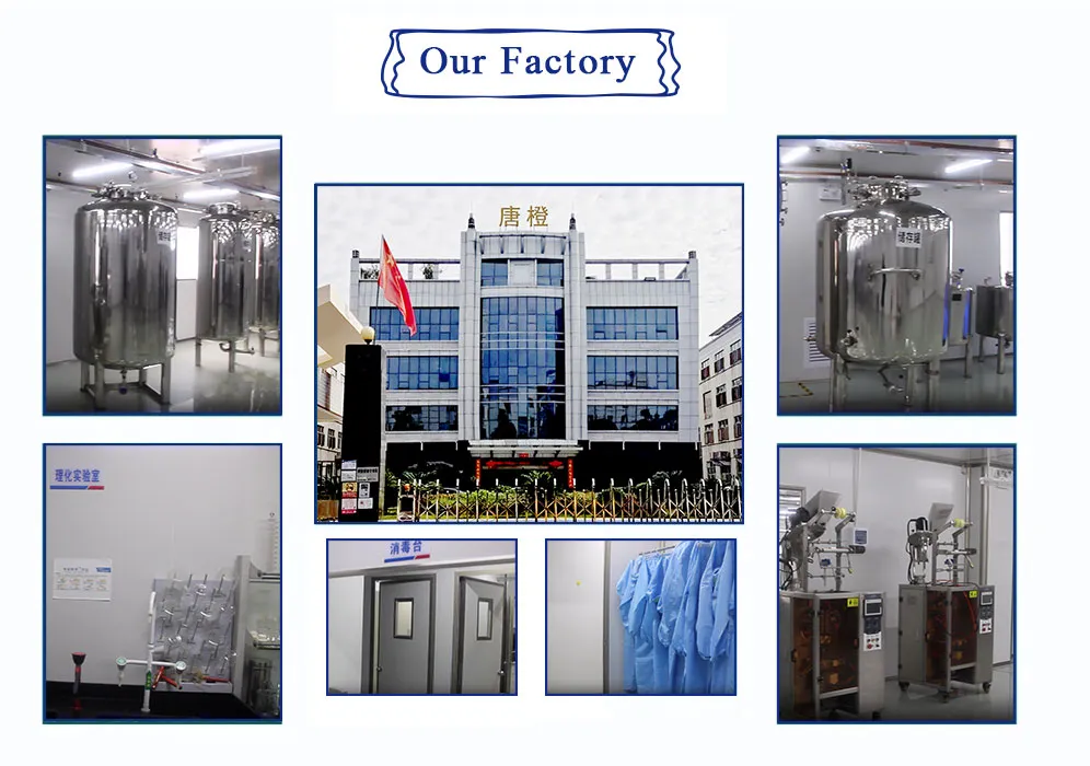 Factory Laboratory