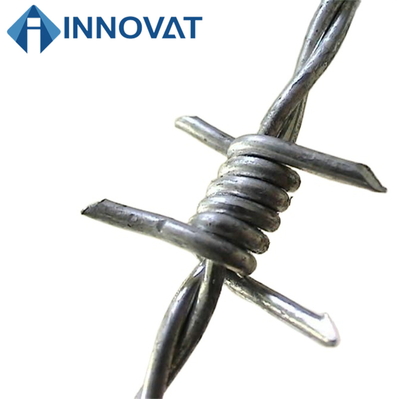 Barbed Wire Hot-DIP Galvanized Protection Net, Anti-Theft Fence, Thorn Barbed Wire, Orchard Double-Strand Anti-Rust Steel Wire Barbed Wire