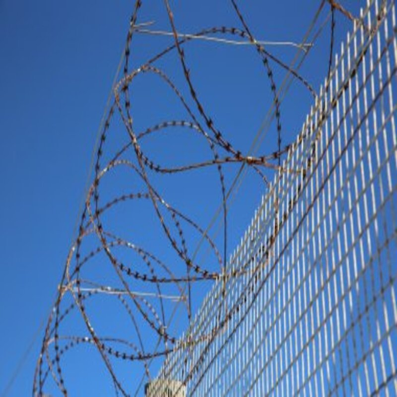 Galvanized Security Concertina Price Anti Climb Blade Barbed Wire Prison Razor Barbed Wire