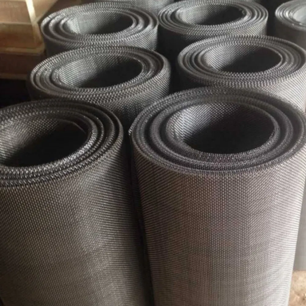 Premium Ss 304 Crimped Wire Mesh for Food Grade Filtration