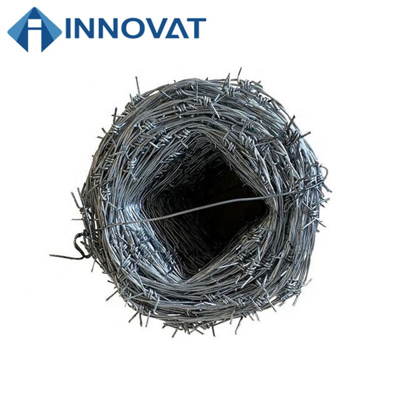 Barbed Wire Hot-DIP Galvanized Protection Net, Anti-Theft Fence, Thorn Barbed Wire, Orchard Double-Strand Anti-Rust Steel Wire Barbed Wire