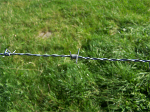 Anping Factory Supply PVC Coated Barbed Wire for Security Fence