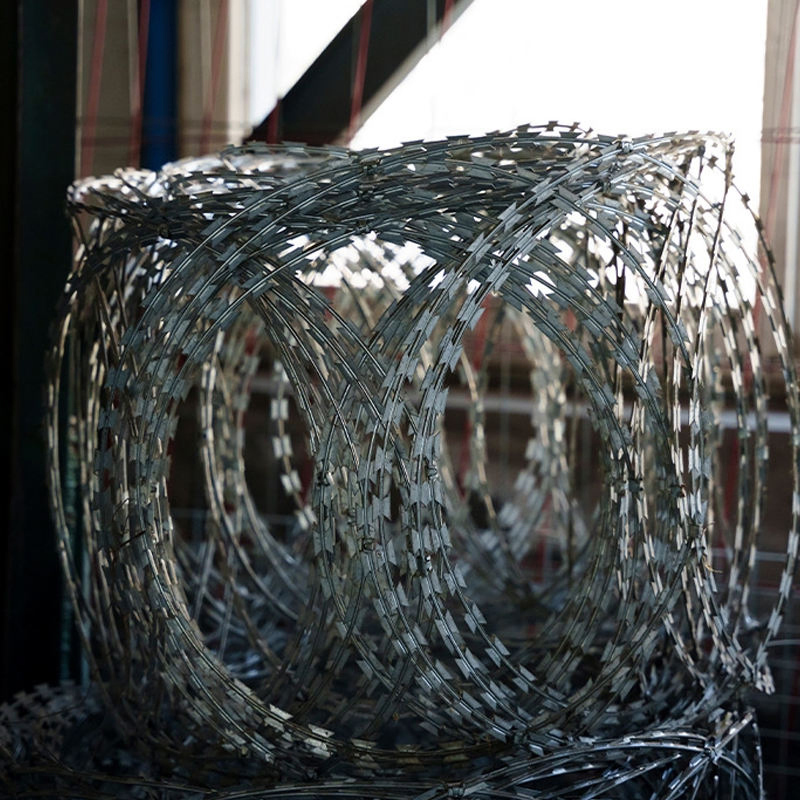 Hot Dipped Galvanized Double Strand Razor Barbed Wire Prison Fence Netting