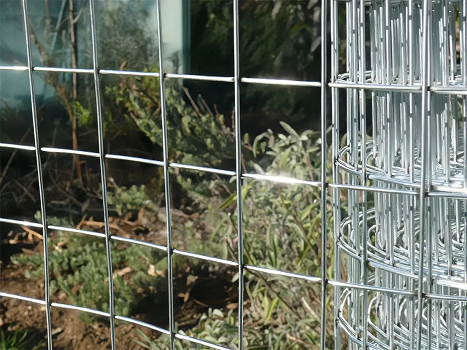 Stainless Steel Mesh