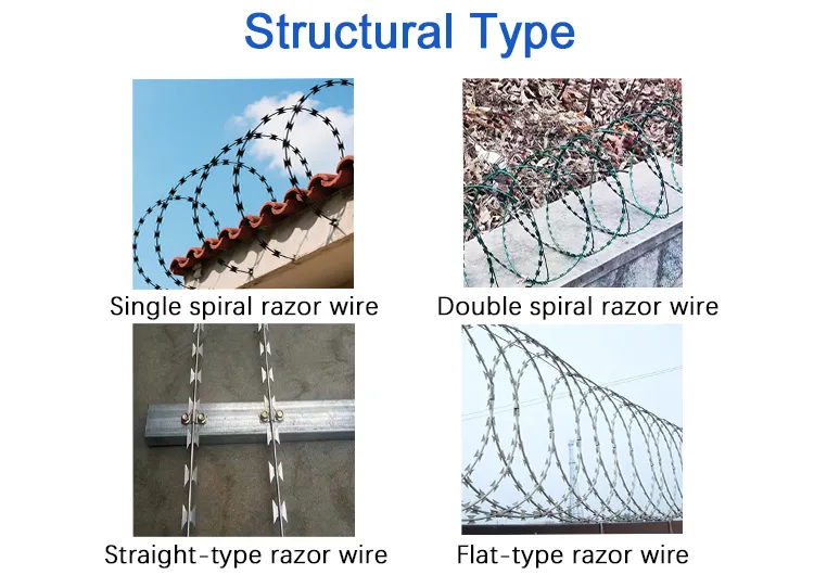 Razor wire detail 1