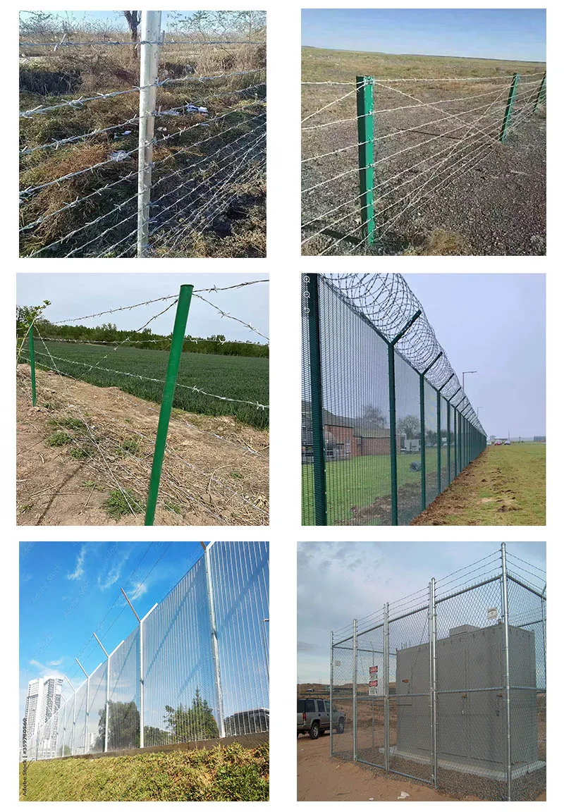 Livestock Fencing