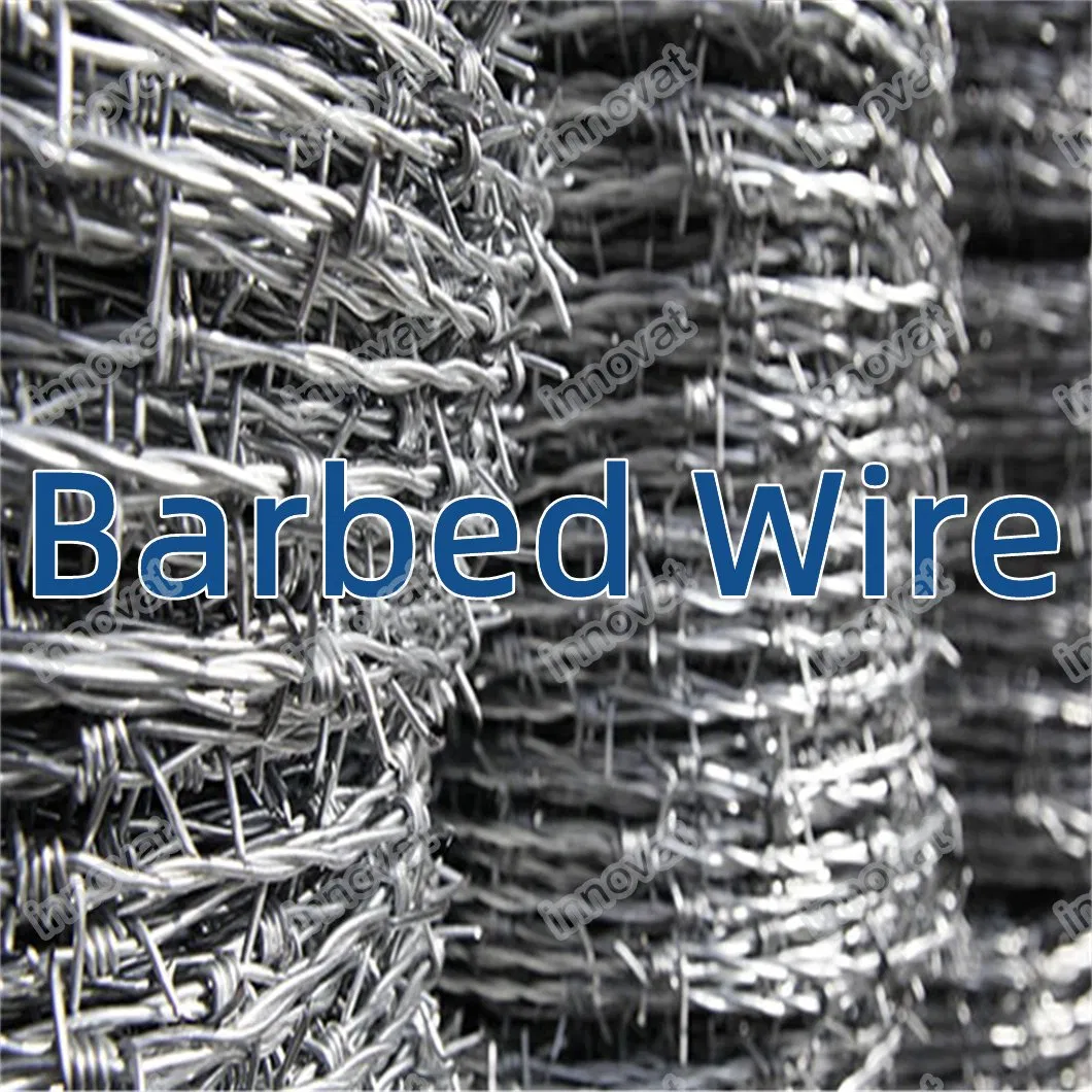 Barbed Wire Protection Net