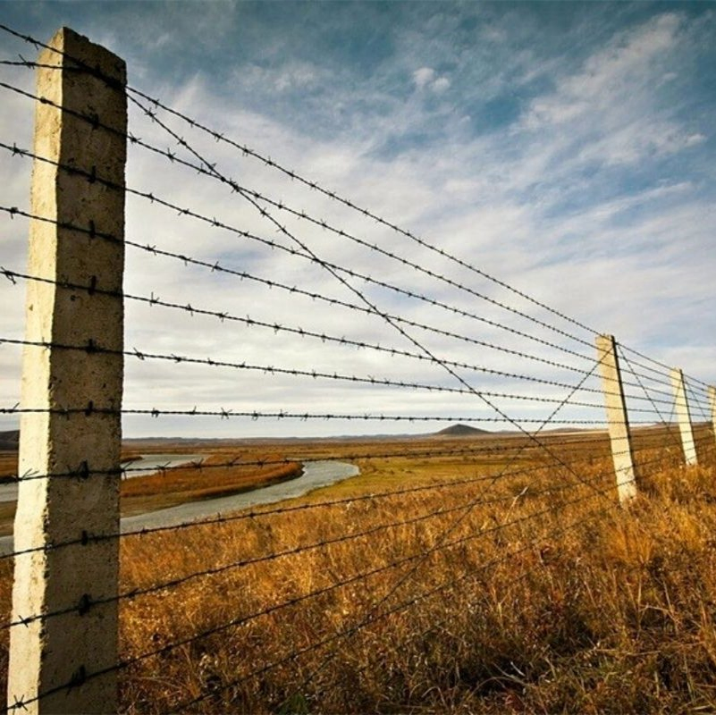 Double Strand Galvanized Iron Wire Barbed Wire Coil for Farm Fencing