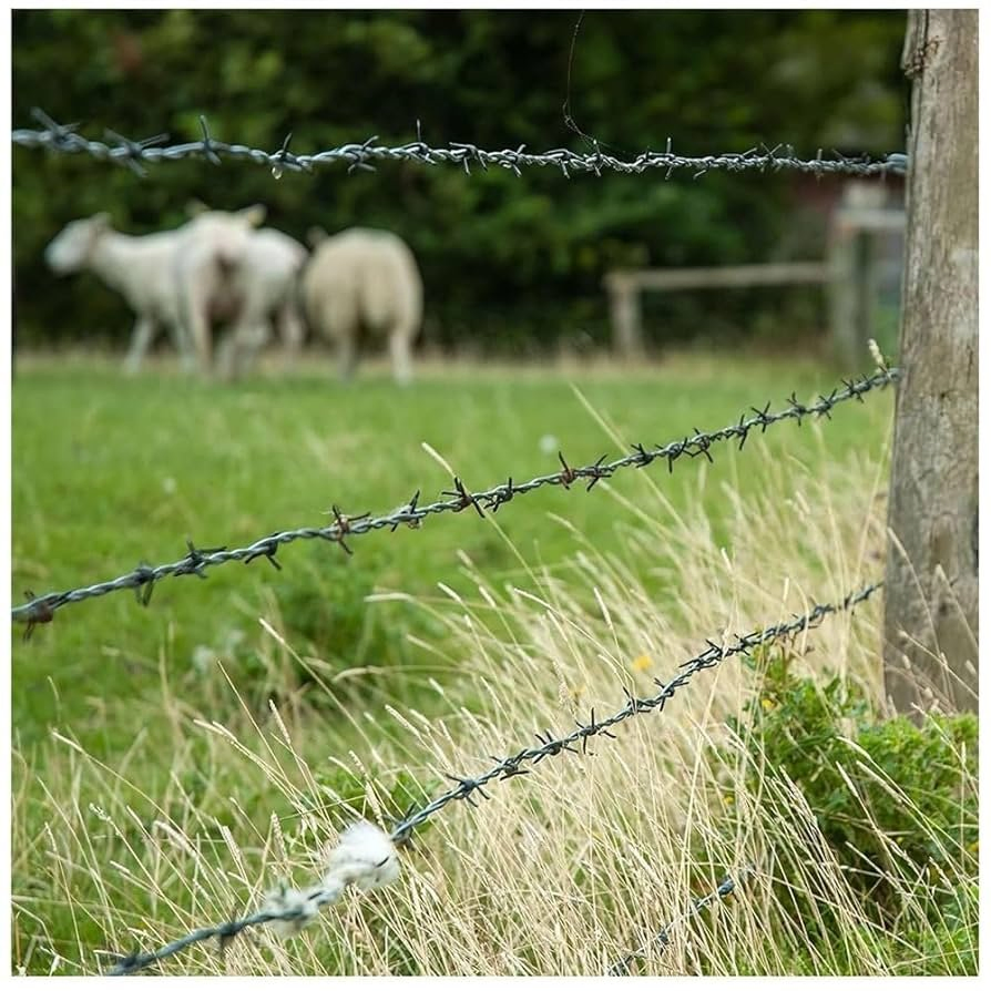Double Strand Galvanized Iron Wire Barbed Wire Coil for Farm Fencing