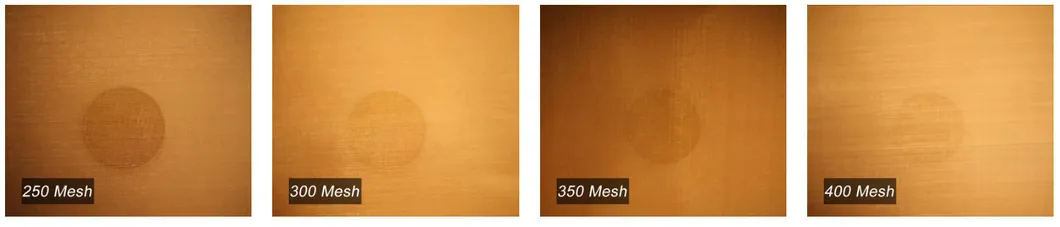 Bronze Mesh Application