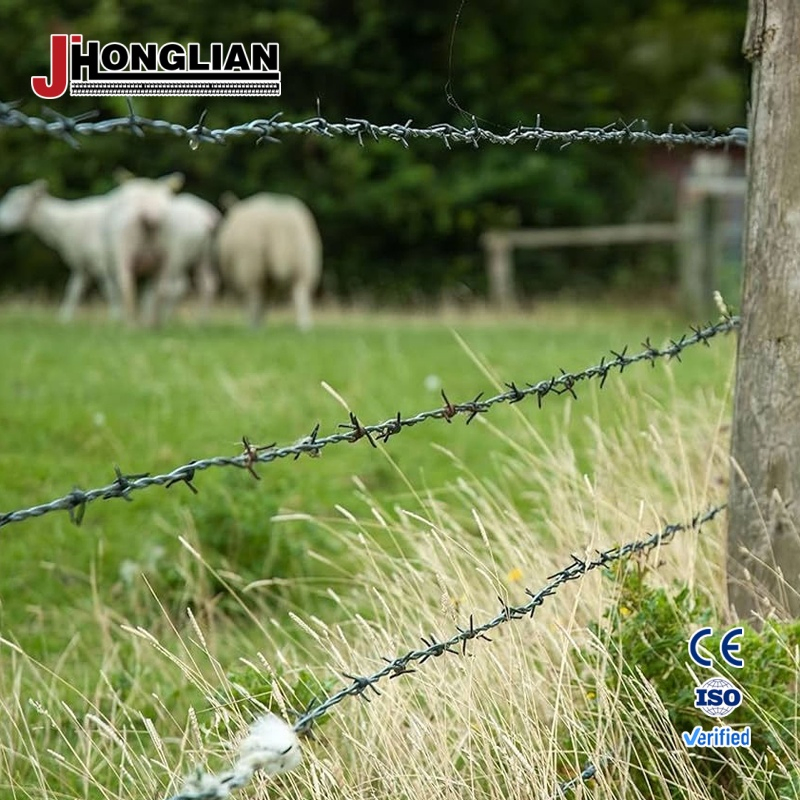 High Carbon Steel Barbed Wire - 2.5mm Diameter &amp; High Tensile