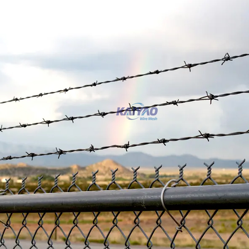 Factory Directly Supply Razor Blade Barbed Wire for Prison, Border &amp; Farm