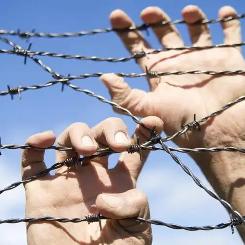 Galvanized Security Anti-Climb Razor Barbed Wire for Fence Prison Protection
