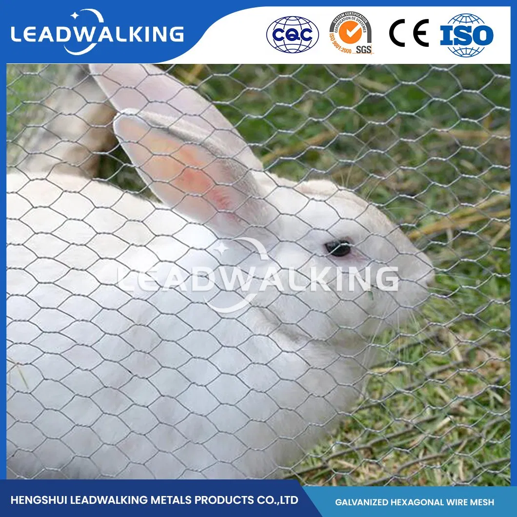Leadwalking China 5FT Poultry Netting Manufacturing Copper Wire Material 19mm Mesh PVC Coated Hexagonal Hexagonal Mesh Woven Hexagonal Galvanized Cage Net