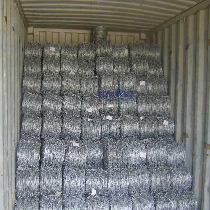 Customizable Blade Razor Barbed Wire for Harsh Environment Security Solutions