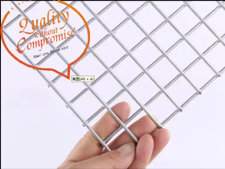 Welded Wire Mesh Photo 11