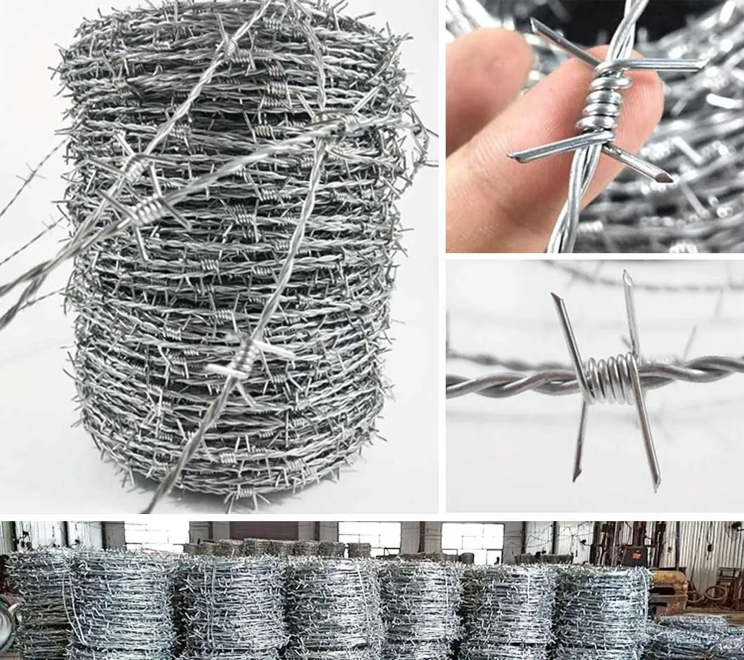 Barbed Wire Detail 1