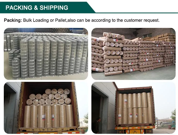 Welded Wire Mesh Photo 5