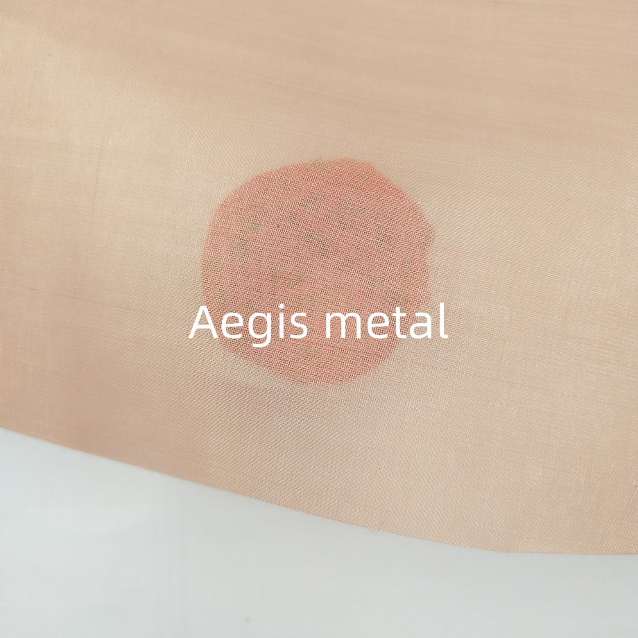 30 Micron 500X500 Mesh Ultra Fine Phosphor Bronze Woven Wire Mesh