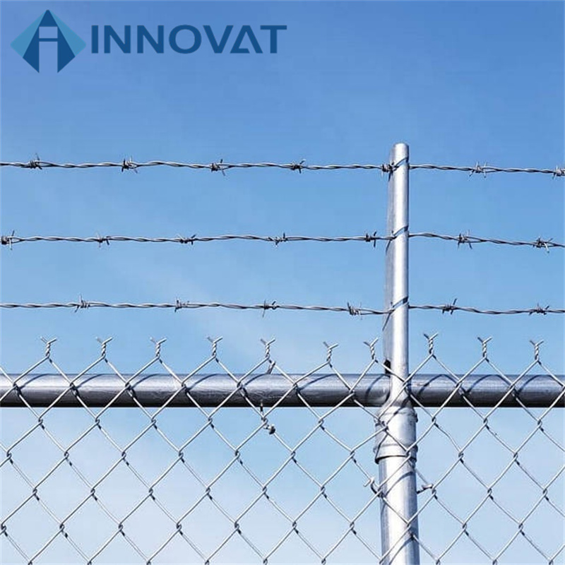 Barbed Wire Hot-DIP Galvanized Protection Net, Anti-Theft Fence, Thorn Barbed Wire, Orchard Double-Strand Anti-Rust Steel Wire Barbed Wire