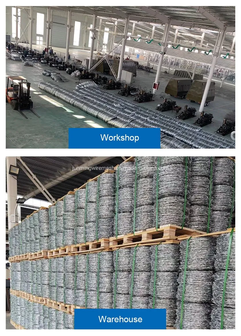 Security Fencing Detail