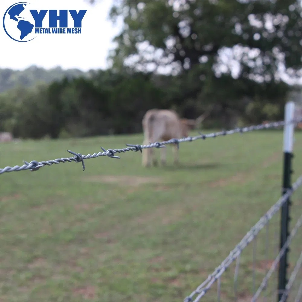 High Tensile Strength Sharp Barbed Wire for Fence Defense