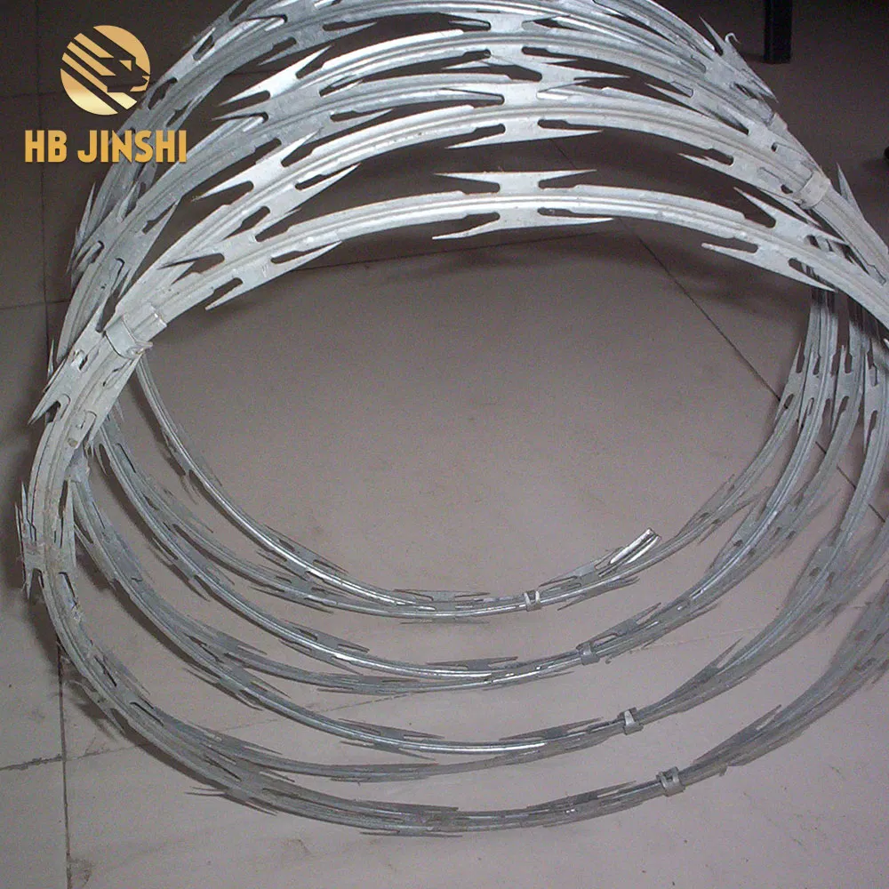 Galvanized PVC Stainless Steel Concertina Razor Blade Barbed Wire Bto-22 Bto-60 Cbt-65 Fencing Wire Price