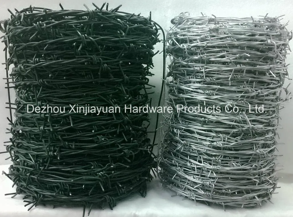 Galvanized Barbed Wire