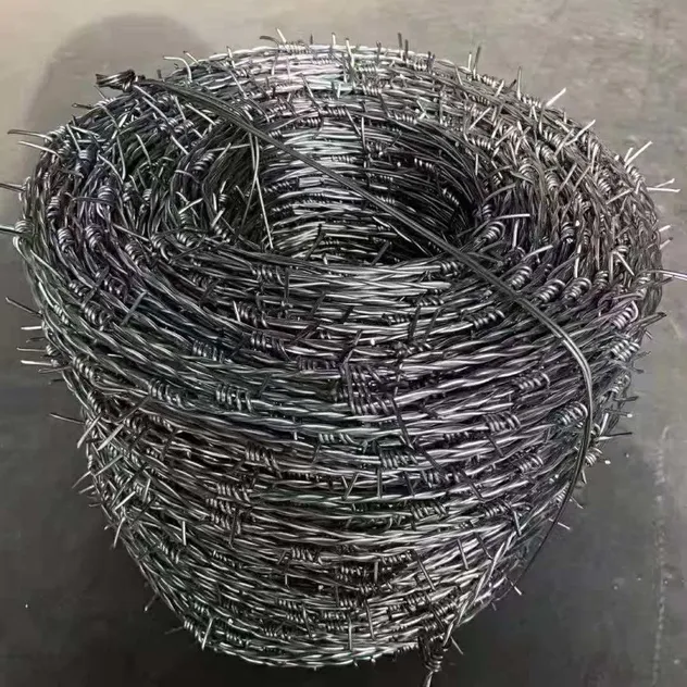 Barbed Wire Close-up 2