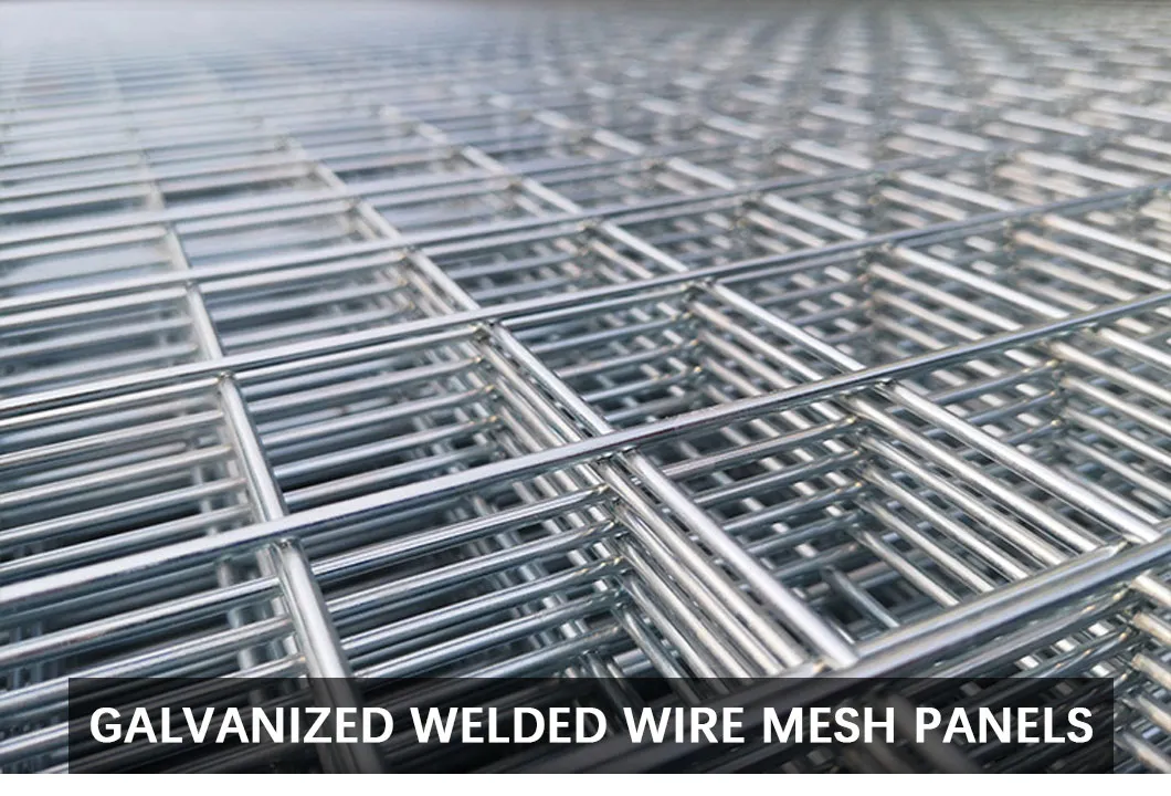 Mesh Rolls
