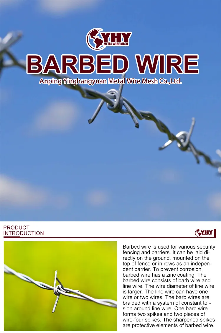 Barbed Wire Detail