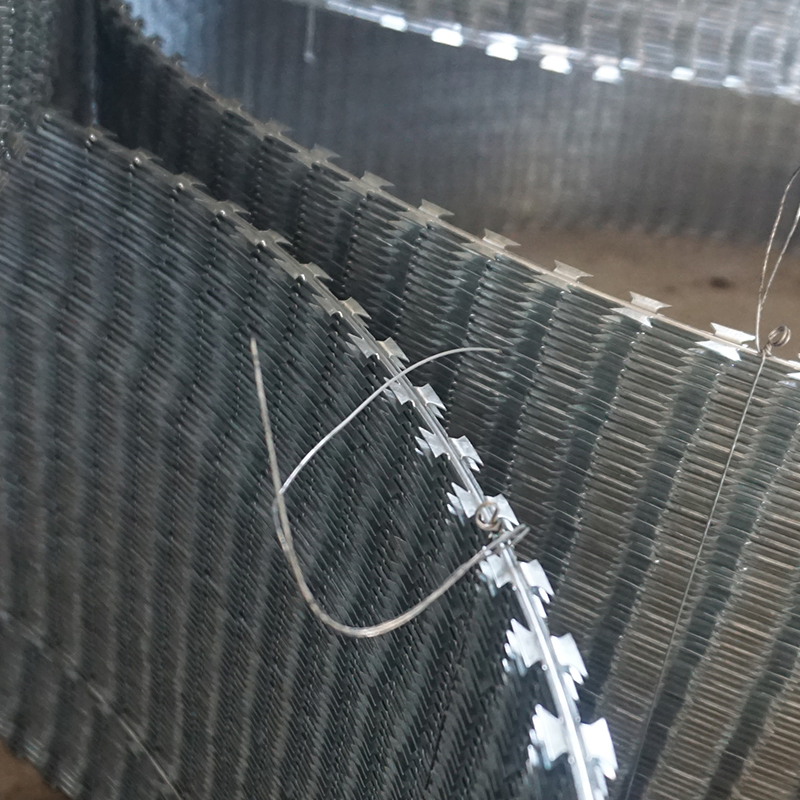 Razor Blade Barbed Wire Concertina Fence Double Strand Steel Security Fence Roll for Sale