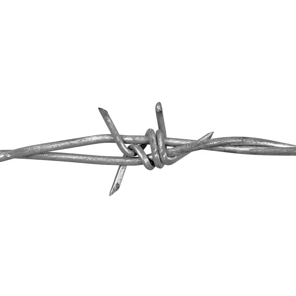 Barbed Wire Detail