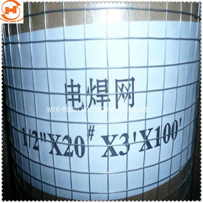 Stainless Steel 304/316/Galvanized/PVC Coated Welded Wire Mesh for Building