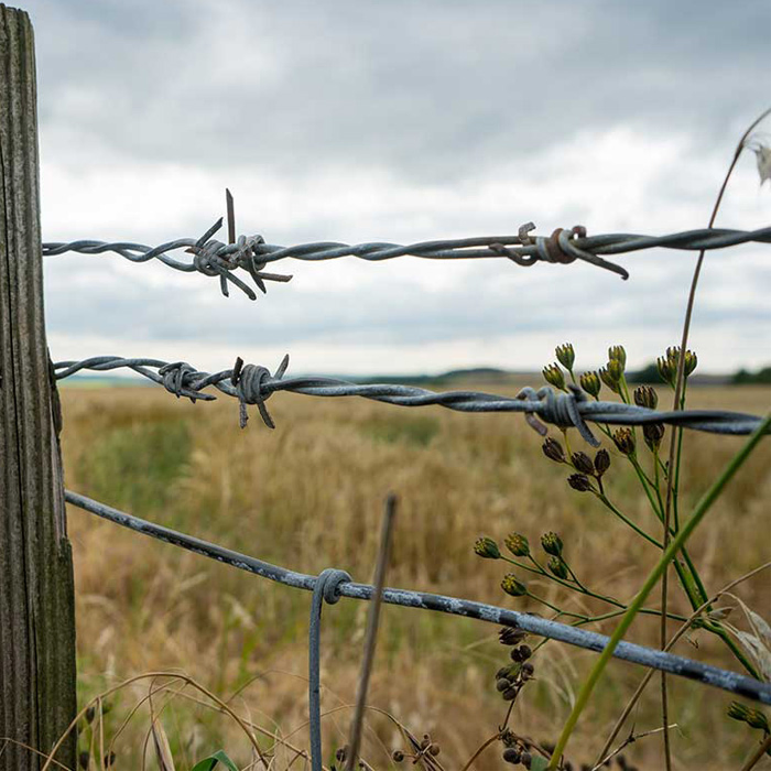 Galvanized 500 Meters High Tensile Razor Per Roll Galvanized Barbed Wire