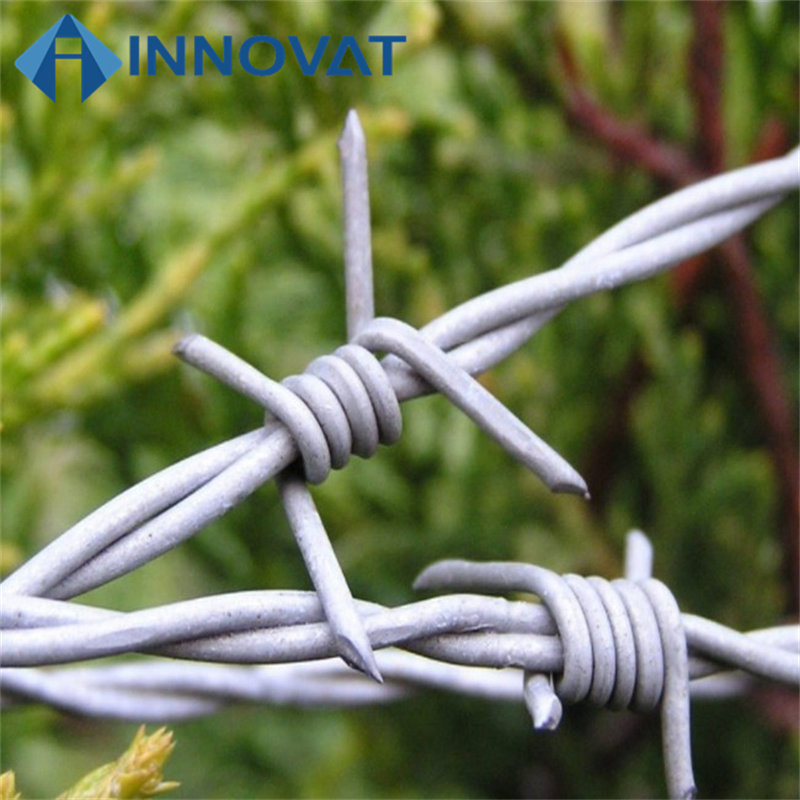 Barbed Wire Hot-DIP Galvanized Protection Net, Anti-Theft Fence, Thorn Barbed Wire, Orchard Double-Strand Anti-Rust Steel Wire Barbed Wire