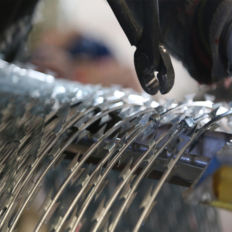 Prison Mesh Fence Hot Dipped Galvanized Cbt65 Bto30 Bto-22 Roll Concertina Double Strand Razor Blade Barbed Wire