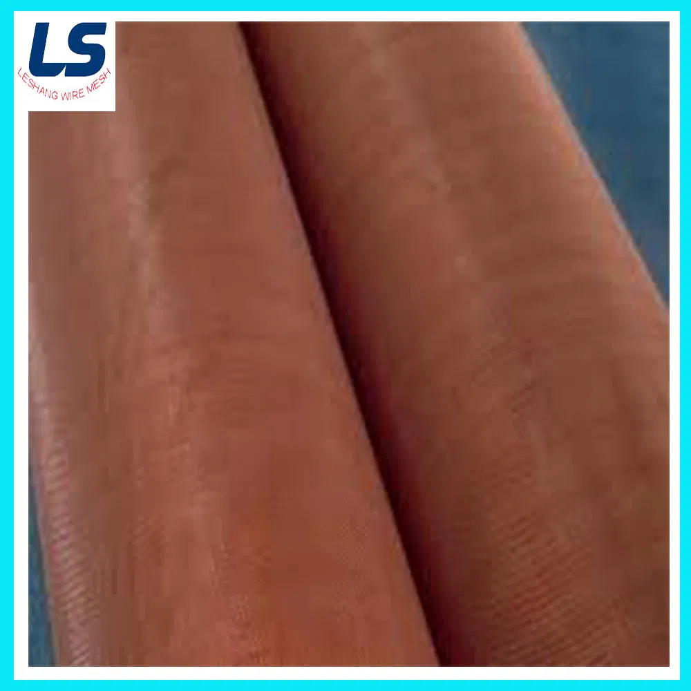 Phosphor Bronze Wire Mesh 10 Mesh to 400 Mesh