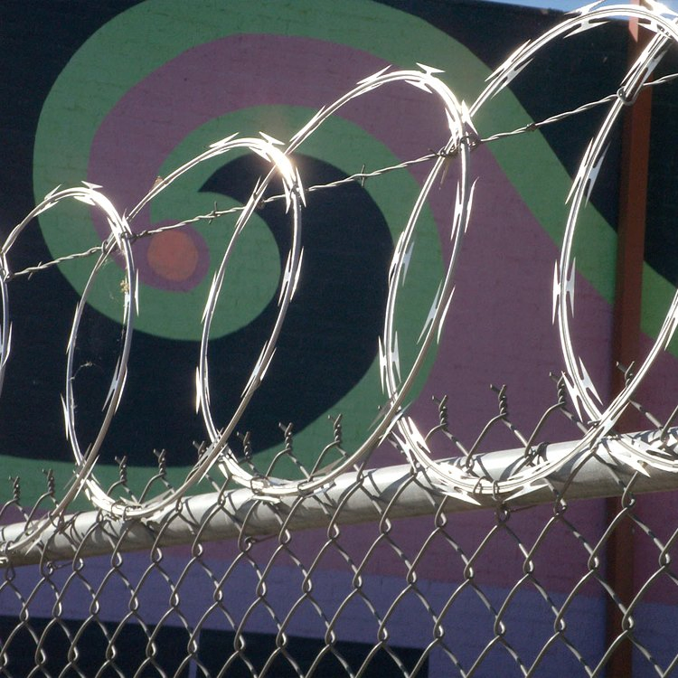 Complete Specifications Barb Wire High Tensile Razor Barbed Wire for Safety Facilities
