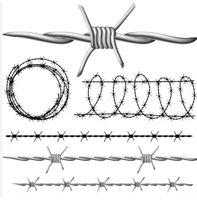 Barbed Wire Detail