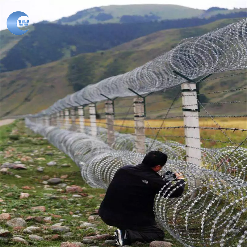 Factory Supply 2mm 2.5mm Razor Barbed Wire Galvanized PVC Coated