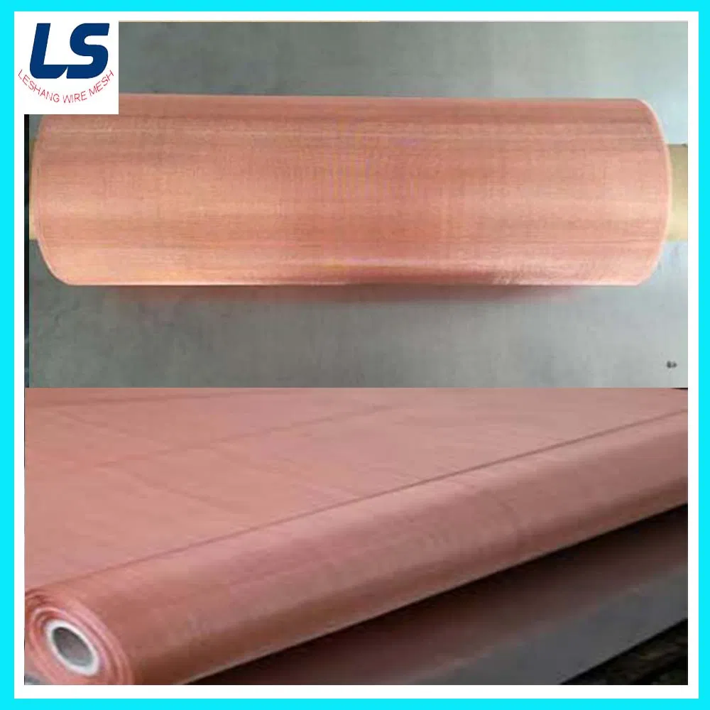 Brass/Copper/Phosphor Bronze Wire Mesh From China Factory