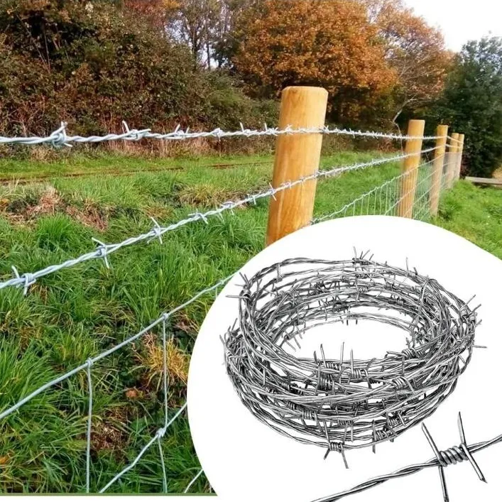 Barbed Wire Security Barrier