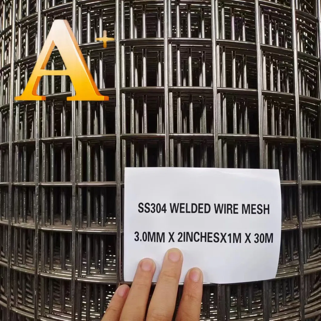 Welded Wire Mesh Photo 15