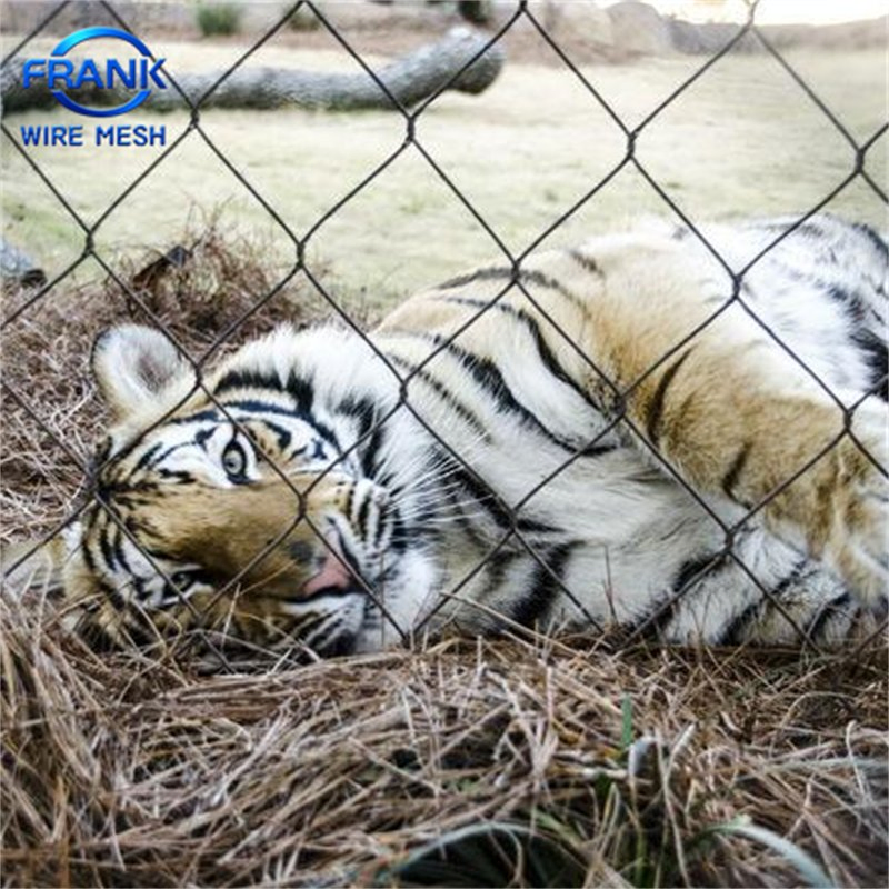 China Hot Sale Factory Price Flexible 304/316 Hand Woven Stainless Steel Knotted Wire Rope Cable Mesh for Zoo Security Fence Aviary Protective Net